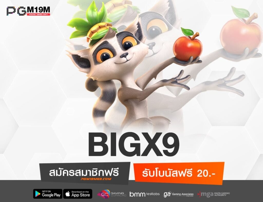 BIGX9-min