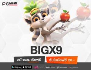 BIGX9-min