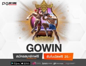 GOWIN-min