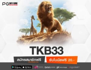 TKB33-min
