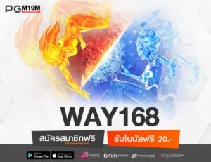 WAY168-min