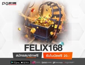 FELIX168-min