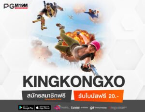 KINGKONGXO