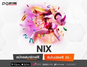 NIX-min