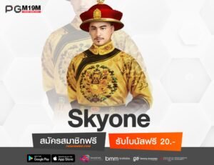 Skyone-min