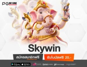 Skywin-min
