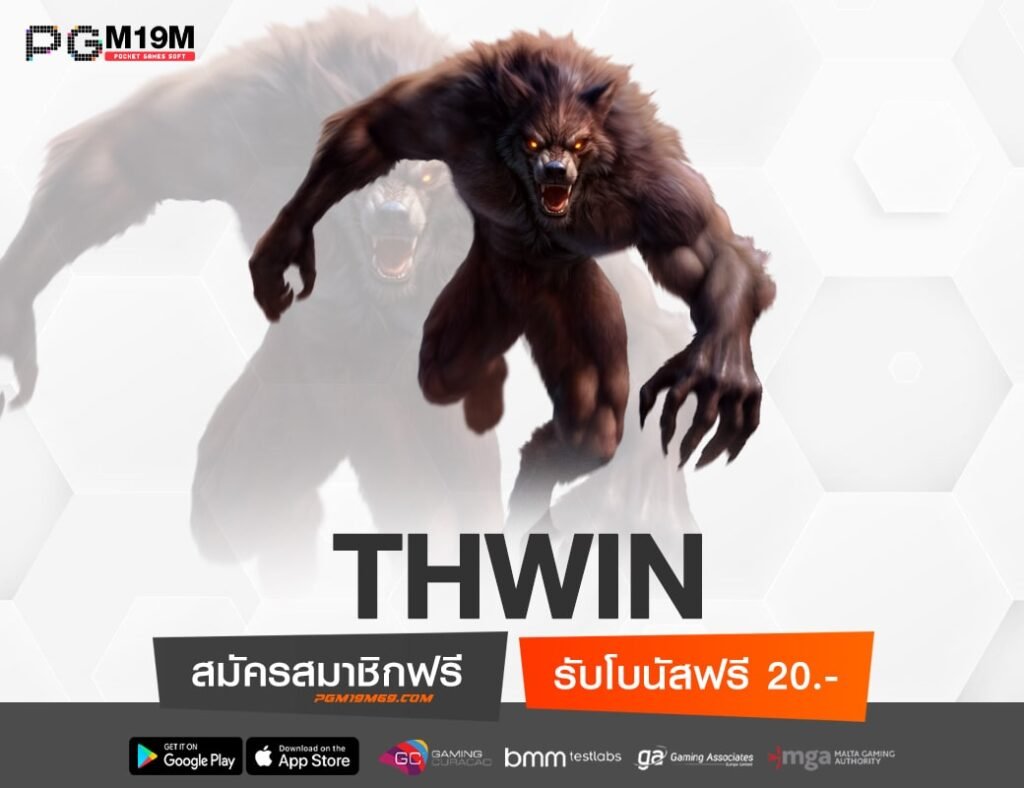 THWIN-min
