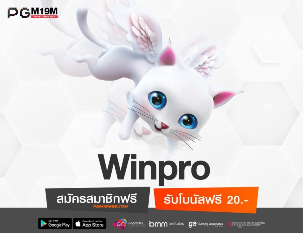 Winpro-min
