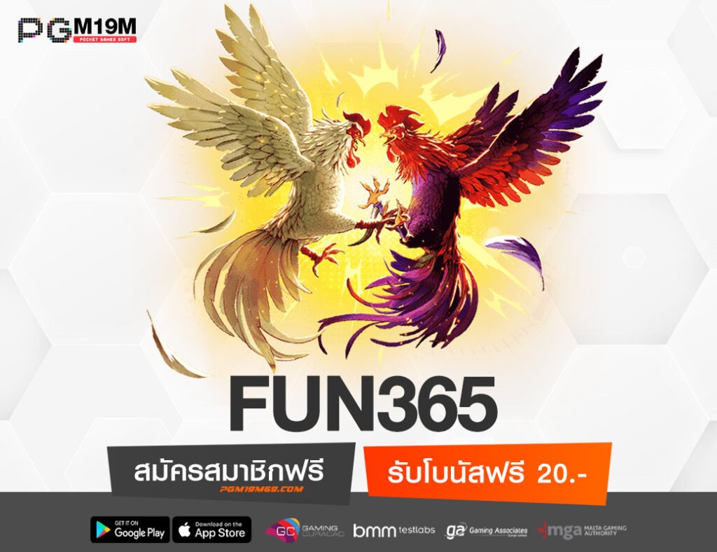 FUN365