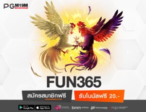 FUN365