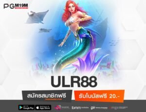 ULR88-min