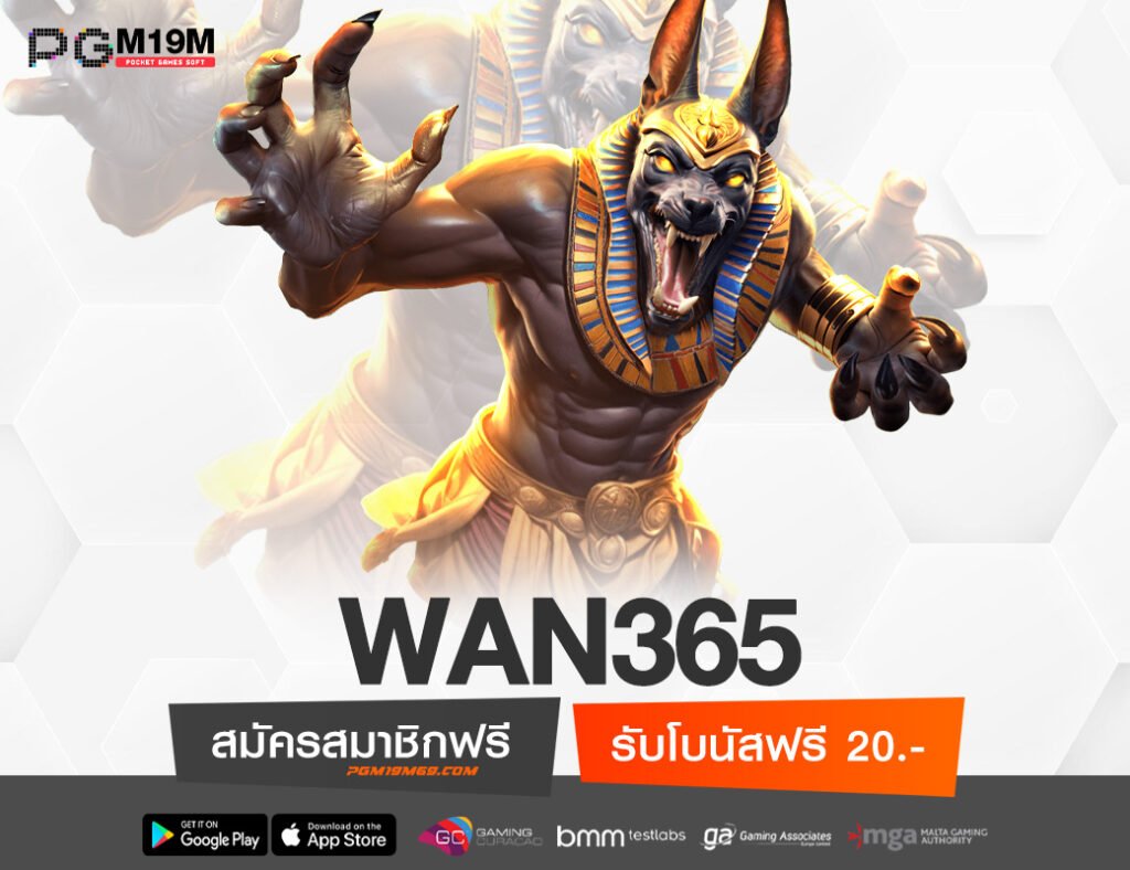 WAN365