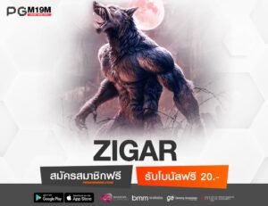ZIGAR-min