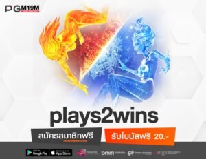 plays2wins-min